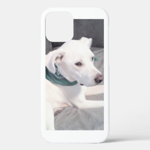 Cute White Labrador Mix Dog Wearing Green Scarf iPhone 12 Case