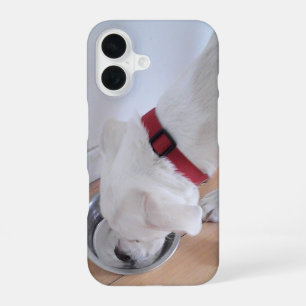 Cute White Labrador Mix Puppy Dog Drinking Water iPhone 16 Case