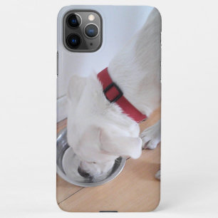 Cute White Labrador Mix Puppy Dog Drinking Water iPhone 11Pro Max Case