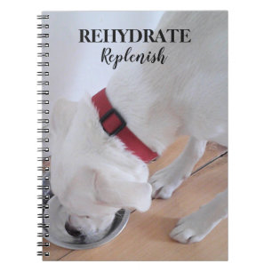 Cute White Labrador Mix Puppy Dog Drinking Water Notebook