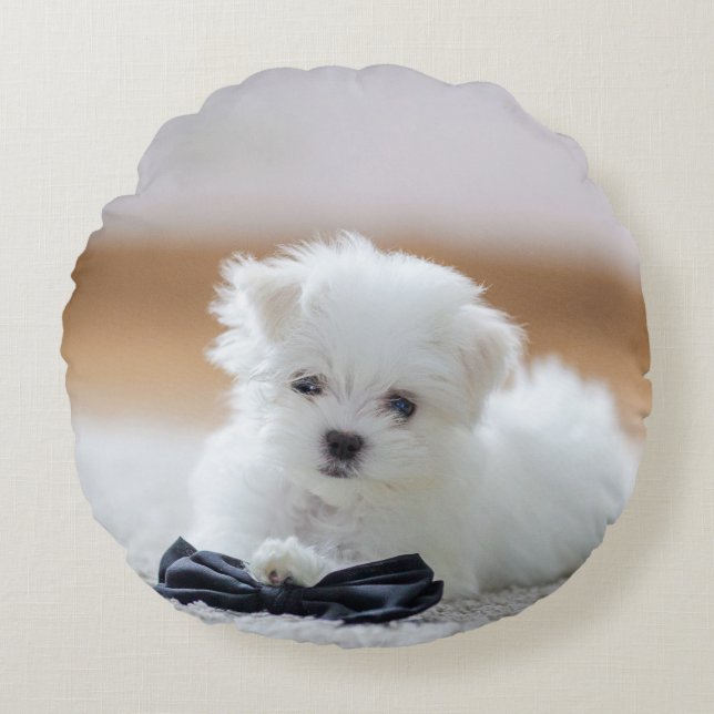 Cute White Maltese Puppy Round Pillow (Front)
