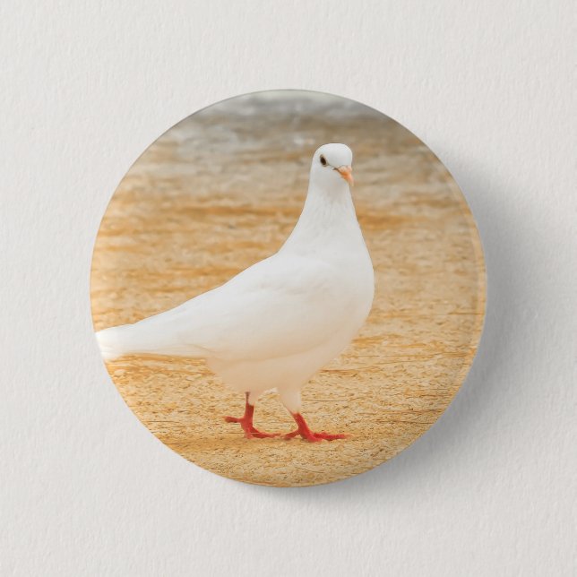 Cute White Pigeon Bird 2 Inch Round Button (Front)