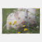 Cute White Piglet in Field of Yellow Flowers