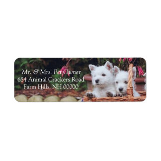 Cute White Puppies Return Address Mailing Stickers