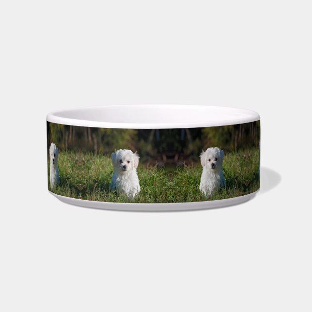 Cute white puppy bowl (Front)