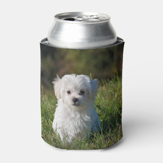 Cute white puppy can cooler (Can Front)