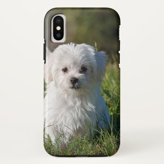 Cute white puppy Case-Mate iPhone case (Back)