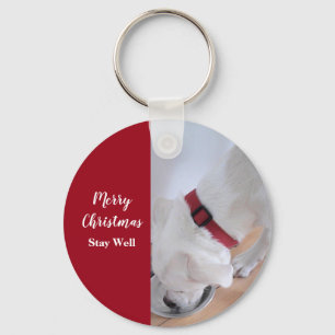 Cute White Puppy Dog Drinking Water Christmas Red Keychain
