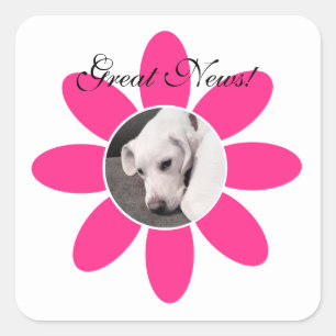 Cute White Puppy Dog in Sweet Pink flower Frame Square Sticker