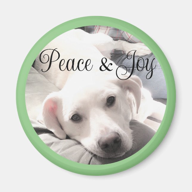 Cute White Puppy Dog Peace and Joy Sage Green Magnet (Front)