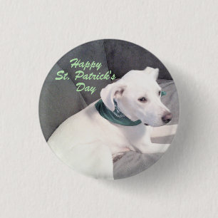 Cute White Puppy Dog St. Patrick's Day 1 Inch Round Button