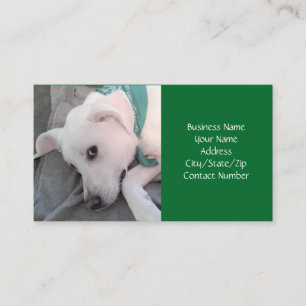 Cute white Puppy Dog Wearing Green Scarf Business  Card