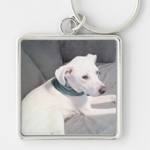 Cute White Puppy Dog Wearing Green Scarf Grey Keychain