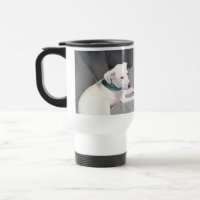 Cute White Puppy Dog Wearing Green Scarf Grey