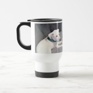 Cute White Puppy Dog Wearing Green Scarf Grey Travel Mug