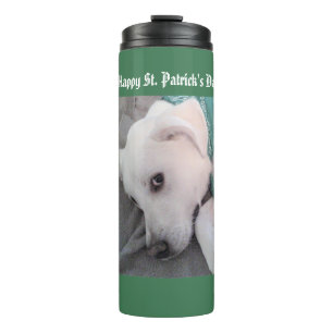 Cute White Puppy Dog Wearing Green Scarf Thermal T Tumbler