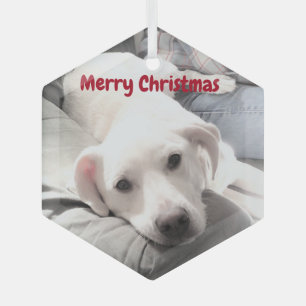 Cute White Puppy Dog With Dad on Couch Glass Ornament