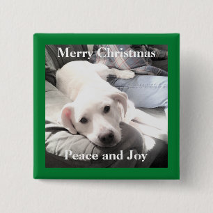 Cute White Puppy Dog With Dad on Couch Green 2 Inch Square Button