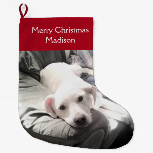 Cute White Puppy Dog With Dad on Couch Red Large C Large Christmas Stocking