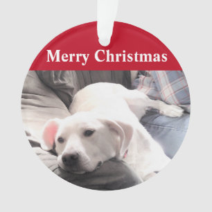 Cute White Puppy Dog with Dad Red Ornament
