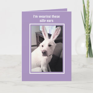 Cute White Puppy Dog With Easter Bunny Ears Purple Holiday Card