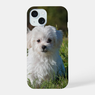 Cute white puppy iPhone 15 case