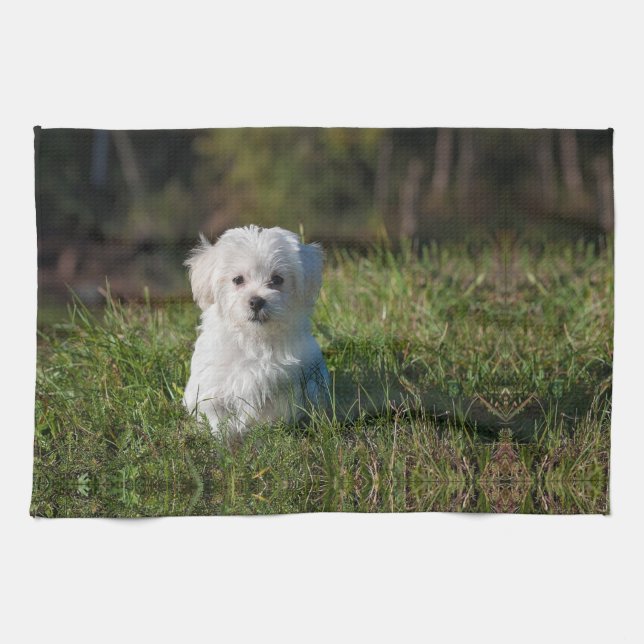 Cute white puppy kitchen towel (Horizontal)