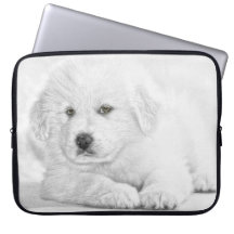 Cute White Puppy Laptop Sleeve
