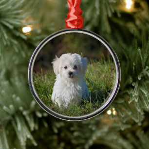 Cute white puppy metal ornament