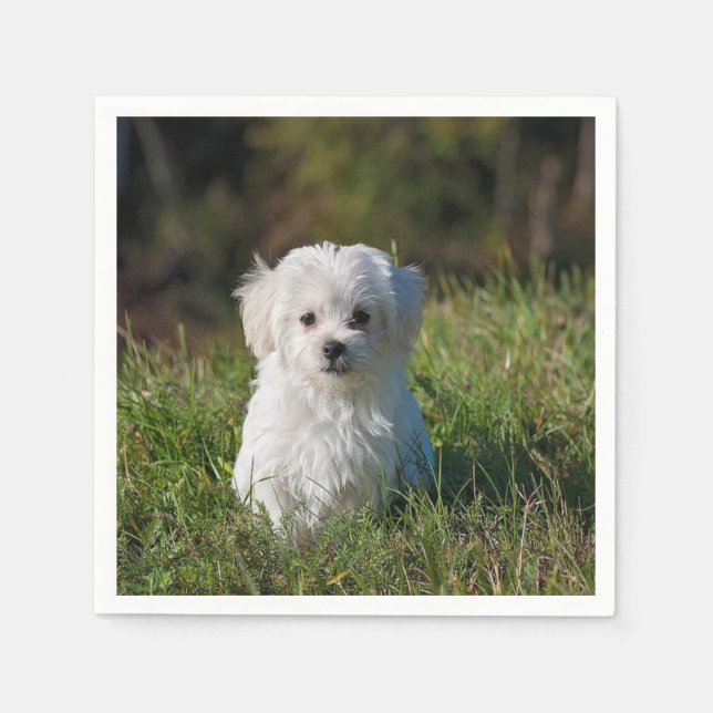 Cute white puppy napkin (Front)