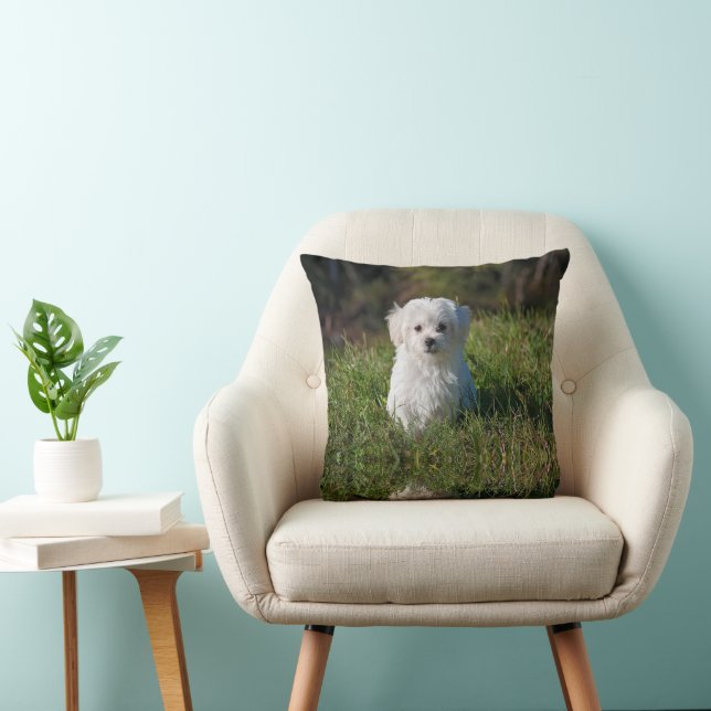 Cute white puppy throw pillow (Chair)