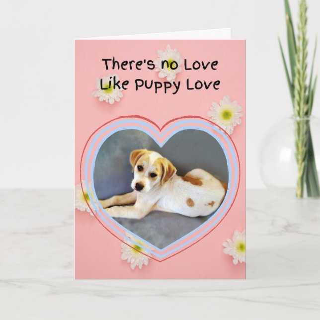 Cute White Puppy Valentine's Day Card (Front)