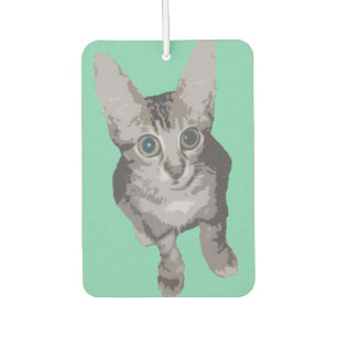 Cute Wide Eyed Cat Car Air Freshener