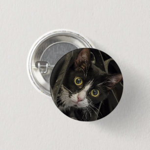 Cute Wide-Eyed Tuxedo Cat Face 1 Inch Round Button