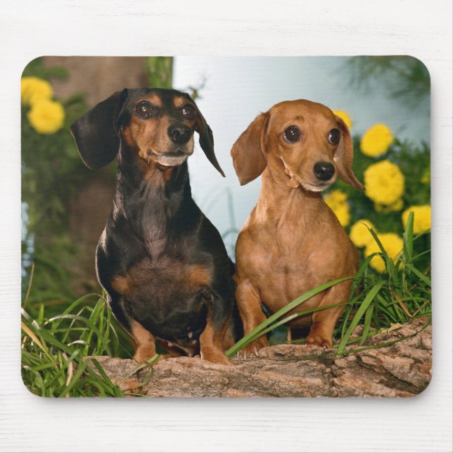 Cute Wiener Dog Lovers Doxin Puppy Dachshund Mouse Pad (Front)