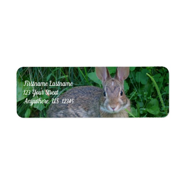 Cute Wild Brown Rabbit Wildlife Address (Front)