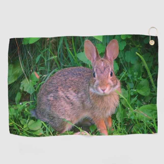 Cute Wild Brown Rabbit Wildlife  Golf Towel (Horizontal)