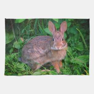 Cute Wild Brown Rabbit Wildlife  Kitchen Towel