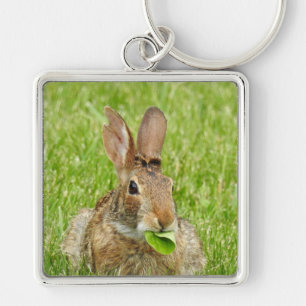 Cute Wild Bunny Rabbit Eating Keychain