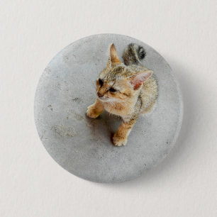 Cute wild cat kitten 2 inch round button