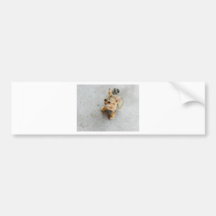 Cute wild cat kitten bumper sticker