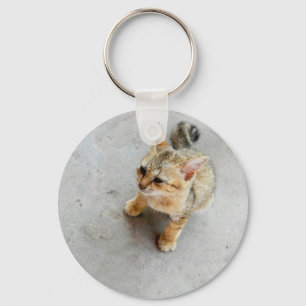 Cute wild cat kitten keychain
