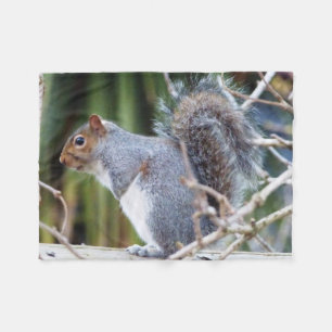 Cute Wild Grey Squirrel (UK ) Fleece Blanket