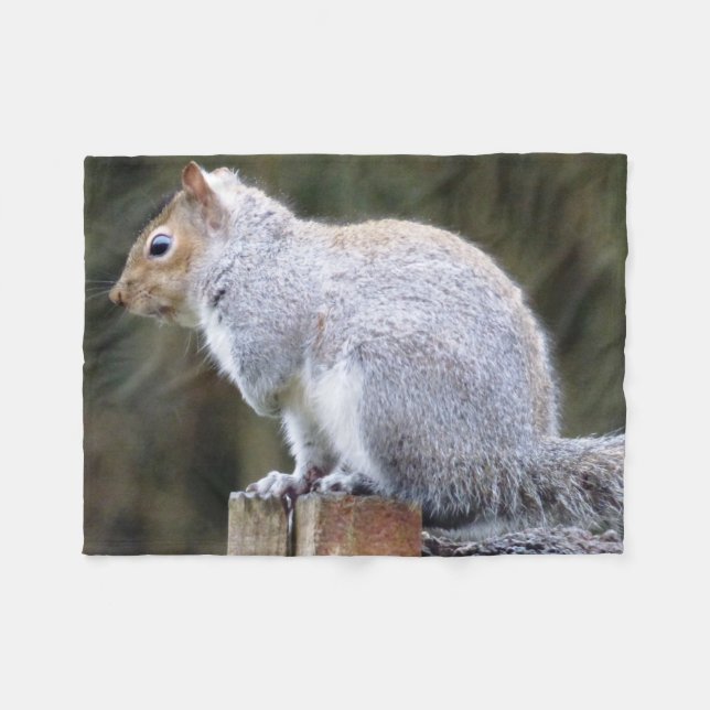 Cute Wild Grey Squirrel (UK ) Fleece Blanket (Front (Horizontal))