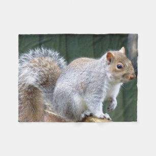 Cute Wild Grey Squirrel (UK ) Fleece Blanket