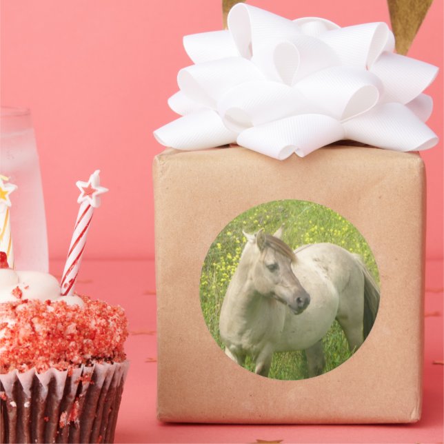 Cute Wild Horse Round Sticker (Party)