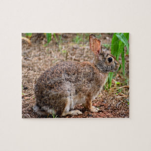 Cute wild rabbit jigsaw puzzle