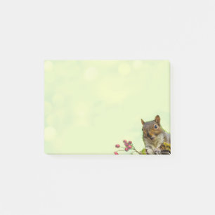 Cute Wild Squirrel on Lime Green Post-it Notes