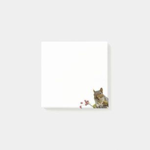 Cute Wild Squirrel on White Post-it Notes