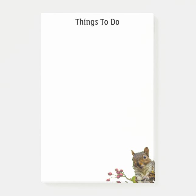 Cute Wild Squirrel Things To Do Post-it Notes (Front)